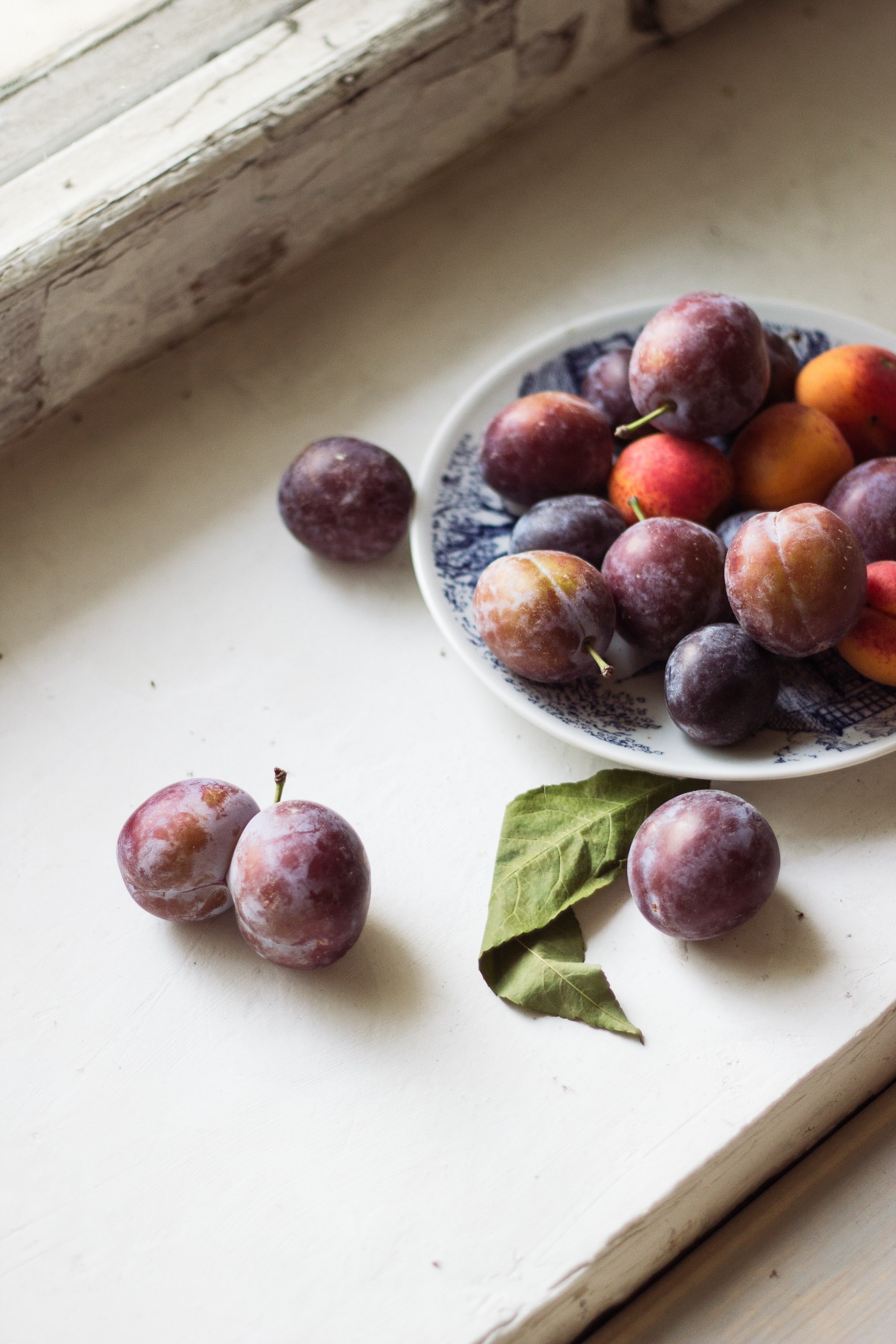 Semangkuk buah plum di ambang jendela, sesaat sebelum aku memakannya satu per satu.